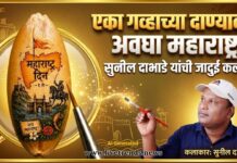 “एका गव्हाच्या दाण्यावर अवघा महाराष्ट्र; सुनील दाभाडे यांची जादुई कला!”