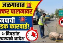 जळगावात डुक्कर पालनावर मनपाची कडक कारवाई; ७ दिवसांत हटवण्याचे आदेश