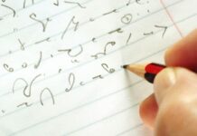 स्टेनोग्राफर पद ‘मृत’ घोषित; भरतीला ब्रेक, विद्यार्थ्यांत उसळला संताप