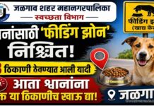 जळगावात श्वानांसाठी ‘फीडिंग झोन’ निश्चित; मनपाचा महत्त्वाचा निर्णय