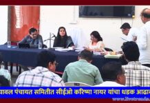 यावल पंचायत समितीत सीईओ करिष्मा नायर यांचा धडक आढावा; अधिकाऱ्यांना फटकार