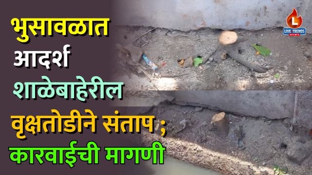 Bhusawal Tree Cutting