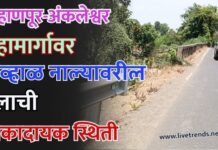 बऱ्हाणपूर-अंकलेश्वर महामार्गावर लव्हाळ नाल्यावरील पुलाची धोकादायक स्थिती