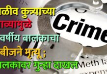 पाळीव कुत्र्याच्या चाव्यामुळे ९ वर्षीय बालकाचा रेबीजने मृत्यू ; मालकावर गुन्हा दाखल