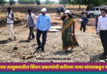 धरणगाव तालुक्यातील सिंचन प्रकल्पांची करिश्मा नायर यांच्याकडून पाहणी
