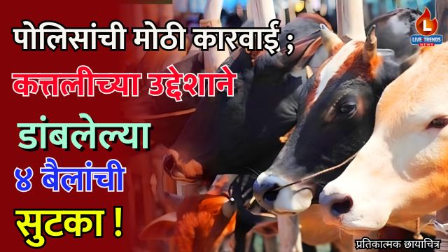 Midc Crime
