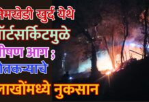 निमखेडी खुर्द येथे शॉर्टसर्किटमुळे भीषण आग ; शेतकऱ्याचे लाखोंमध्ये नुकसान