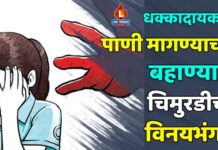 धक्कादायक : पाणी मागण्याच्या बहाण्याने चिमुरडीचा विनयभंग !