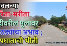 यावलच्या हरिता-सरीता नदीवरील पुलावर कठड्यांचा अभाव ; अपघाताची भीती