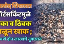मालोद शिवारात शॉर्टसर्किटमुळे मका व ठिबक जळून खाक ; पावणे दोन लाखांचे नुकसान