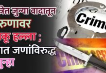 यात्रेत जुन्या वादातून तरुणावर चाकू हल्ला ; सात जणांविरुद्ध गुन्हा