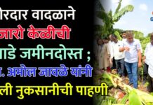 जोरदार वादळाने हजारो केळीची झाडे जमीनदोस्त ; आ. अमोल जावळे यांनी केली नुकसानीची पाहणी