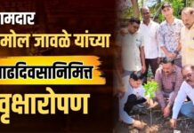 आमदार अमोल जावळे यांच्या वाढदिवसानिमित्त वृक्षारोपण