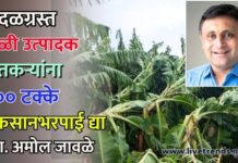वादळग्रस्त केळी उत्पादक शेतकऱ्यांना १०० टक्के नुकसानभरपाई द्या – आमदार अमोल जावळे