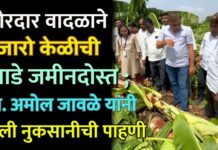 जोरदार वादळाने हजारो केळीची झाडे जमीनदोस्त ; आ. अमोल जावळे यांनी केली नुकसानीची पाहणी