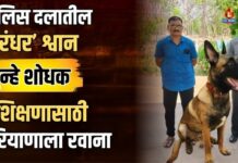 पोलिस दलातील ‘धुरंधर’ श्वान गुन्हे शोधक प्रशिक्षणासाठी हरियाणाला रवाना
