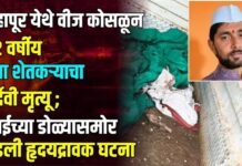 शहापूर येथे वीज कोसळून 32 वर्षीय युवा शेतकऱ्याचा दुर्दैवी मृत्यू ; आईच्या डोळ्यासमोर घडली हृदयद्रावक घटना