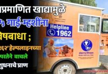 अप्रमाणित खाद्यामुळे ३५ गाई-म्हशींना विषबाधा ; ‘१९६२’ हेल्पलाइनच्या तत्परतेने वाचले पशुधनाचे प्राण