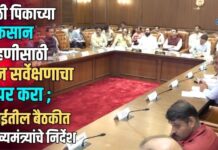 केळी पिकाच्या नुकसान पाहणीसाठी ड्रोन सर्वेक्षणाचा वापर करा – मुंबईतील बैठकीत मुख्यमंत्र्यांचे निर्देश