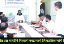 पाचोरा तालुक्यातील प्रलंबित प्रश्न तातडीने निकाली काढण्याचे जिल्हाधिकाऱ्यांचे निर्देश