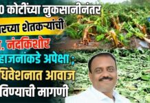 ७०० कोटींच्या नुकसानीनंतर रावेरच्या शेतकऱ्यांची आ. नंदकिशोर महाजनांकडे अपेक्षा ; अधिवेशनात आवाज उठविण्याची मागणी