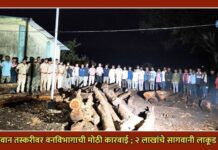 सागवान तस्करीवर वनविभागाची मोठी कारवाई ; २ लाखांचे सागवानी लाकूड जप्त