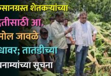 नुकसानग्रस्त शेतकऱ्यांच्या मदतीसाठी आ. अमोल जावळे बांधावर; तातडीच्या पंचनाम्यांच्या सूचना