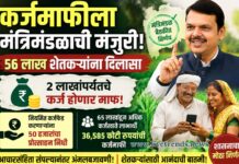 कर्जमाफीला मंत्रिमंडळाची मंजुरी; 56 लाख शेतकऱ्यांना दिलासा, 2 लाखांपर्यंतचे कर्ज होणार माफ