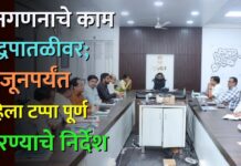जनगणनाचे काम युद्धपातळीवर; ४ जूनपर्यंत पहिला टप्पा पूर्ण करण्याचे निर्देश