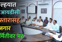 जिल्हयात एमआयडीसी विस्तारासह रोजगारनिर्मितीवर भर