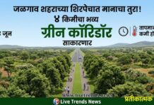 जळगाव शहराच्या शिरपेचात मानाचा तुरा! ४ किलोमीटरचा भव्य ‘ग्रीन कॉरिडोर’ साकारणार