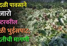 वादळी पावसाने हजारो हेक्टरवरील केळी भुईसपाट; मदतीची मागणी