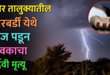 रावेर तालुक्यातील गारबर्डी येथे वीज पडून युवकाचा दुर्दैवी मृत्यू