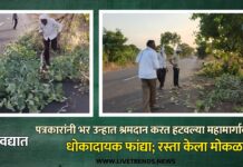 सावद्यात पत्रकारांनी भर उन्हात श्रमदान करत हटवल्या महामार्गावरील धोकादायक फांद्या, रस्ता केला मोकळा