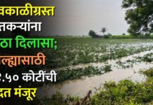 अवकाळीग्रस्त शेतकऱ्यांना मोठा दिलासा; जिल्ह्यासाठी १४.५० कोटींची मदत मंजूर
