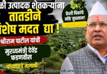 केळी उत्पादक शेतकऱ्यांना तातडीने विशेष मदत द्या; श्रीराम पाटील यांची मुख्यमंत्री देवेंद्र फडणवीस यांच्याकडे मागणी