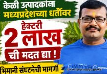 केळी उत्पादकांना मध्यप्रदेशच्या धर्तीवर हेक्टरी २ लाखांची मदत द्या : स्वाभिमानी संघटनेची मागणी