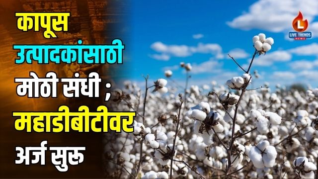 Cotton
