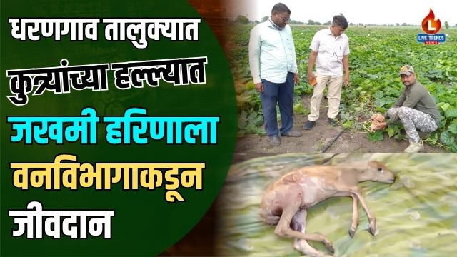 Dhrangaon