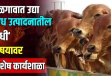 जळगावात उद्या ‘दुग्ध उत्पादनातील संधी’ विषयावर विशेष कार्यशाळा