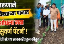 तरुणाने विड्याच्या पानात शोधला नवा ‘सुवर्ण पॅटर्न’! मंत्री संजय सावकारेंकडून कौतुक
