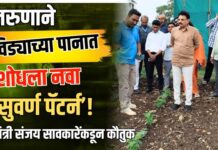 तरुणाने विड्याच्या पानात शोधला नवा ‘सुवर्ण पॅटर्न’! मंत्री संजय सावकारेंकडून कौतुक
