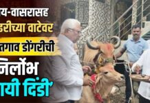 गाय-वासरासह पंढरीच्या वाटेवर सातगाव डोंगरीची ‘निर्लोभ पायी दिंडी’