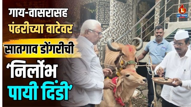 Pachora Dindi