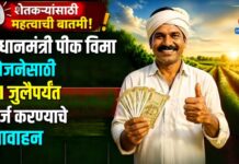 प्रधानमंत्री पीक विमा योजनेसाठी 31 जुलैपर्यंत अर्ज करण्याचे आवाहन