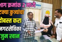 प्रभाग क्रमांक २ मध्ये भटक्या कुत्र्यांचा बंदोबस्त करा – नगरसेविका अंजुम खान