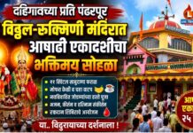 दहिगावच्या प्रति पंढरपूर श्री विठ्ठल-रुक्मिणी मंदिरात आषाढी एकादशीचा भक्तिमय सोहळा