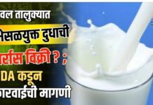 यावल तालुक्यात भेसळयुक्त दुधाची सर्रास विक्री ? ; FDA कडून कारवाईची मागणी