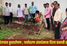 यावल तहसील कार्यालयात वृक्षारोपण ; पर्यावरण संवर्धनाचा दिला प्रभावी संदेश