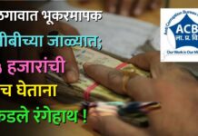 जळगावात भूकरमापक एसीबीच्या जाळ्यात; १५ हजारांची लाच घेताना पकडले रंगेहाथ !